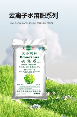 雲離子成人免费香蕉视频肥係列