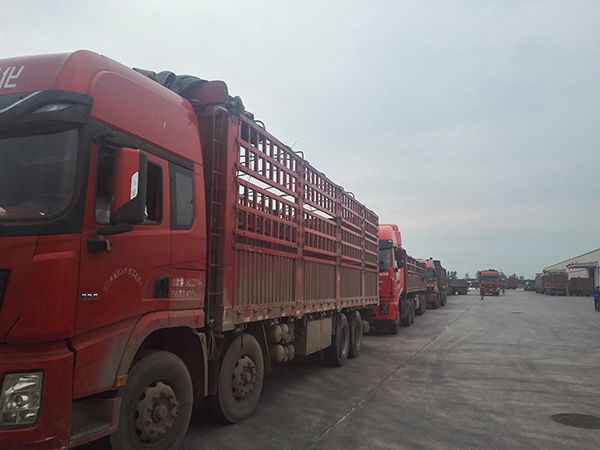 今天的91香蕉网站在线观看