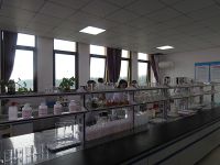 今天的91香蕉网站在线观看