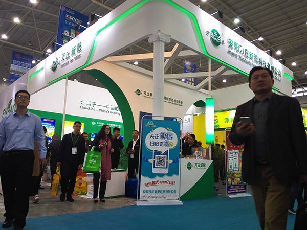 今天的91香蕉网站在线观看